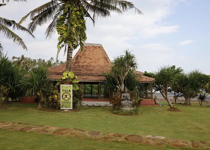 Hotel Pitaya Hotel, Surfing & Yoga 3*