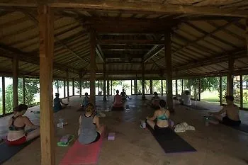 Hotel Pitaya Hotel, Surfing & Yoga Selemadeg (Bali)